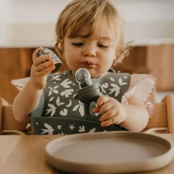 Sucette grignoteuse birdy et 4 embouts