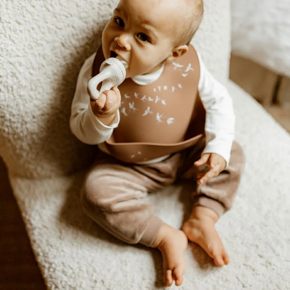 Sucette grignoteuse Sauge avec 4 embouts