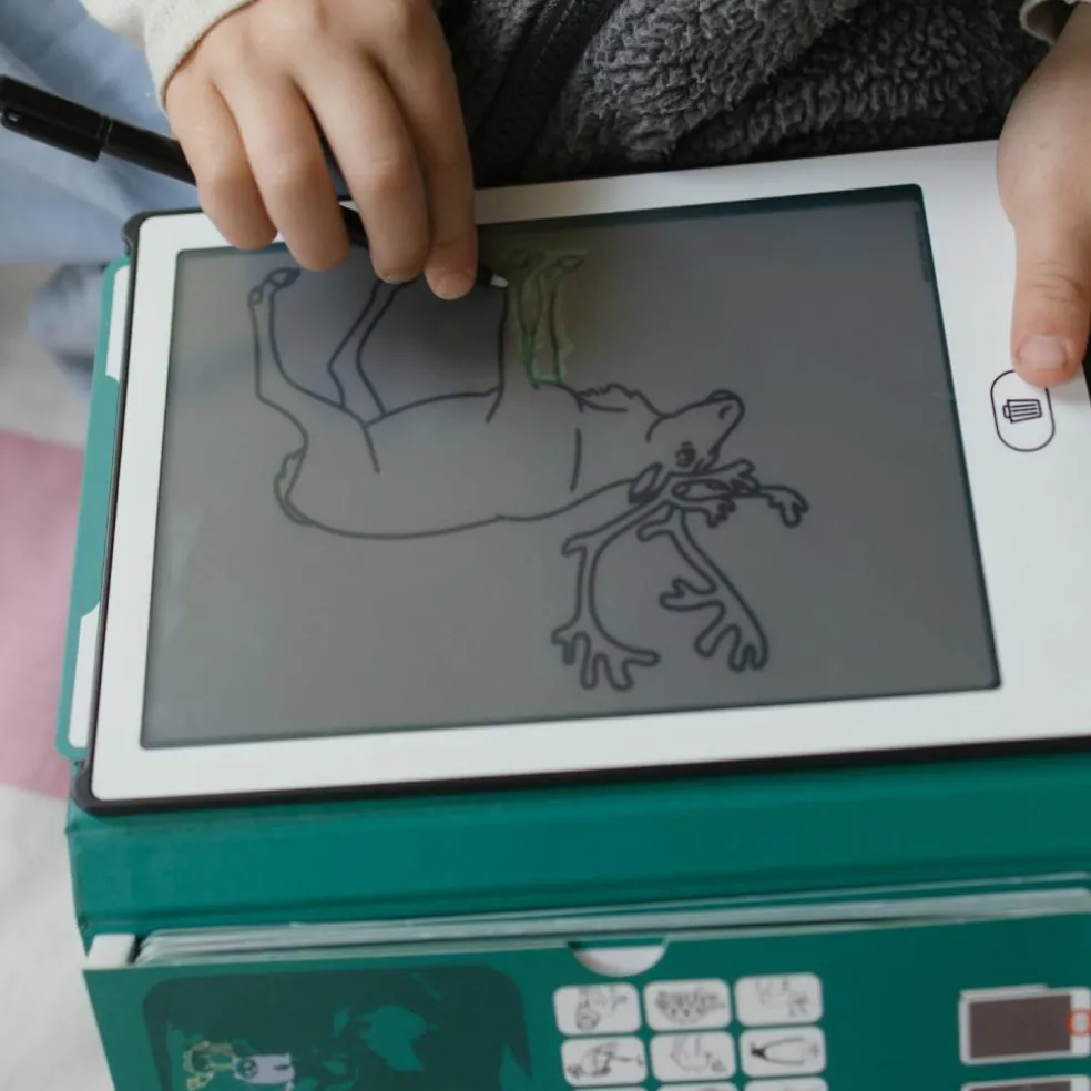 Tablette à dessin KIDYDRAW-MINI Animaux autour du monde vert