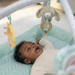 Tapis d'éveil Calm Springs