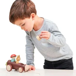 Taxi des animaux de la forêt