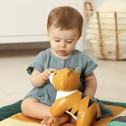 Tim le Tigre Les Animaux Musicaux