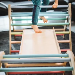 Toboggan et mur d'escalade 2 en 1 Pickler multicolore pastel