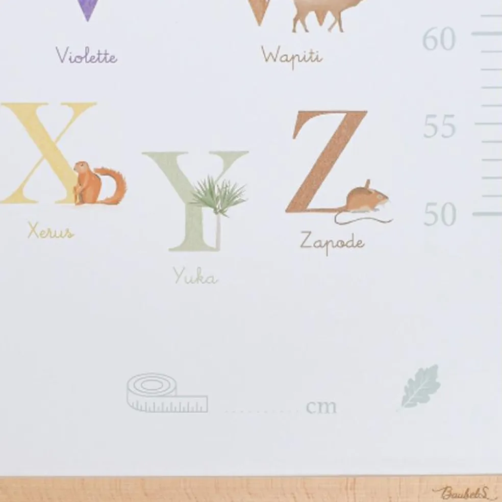 Toise Abécédaire (personnalisable)