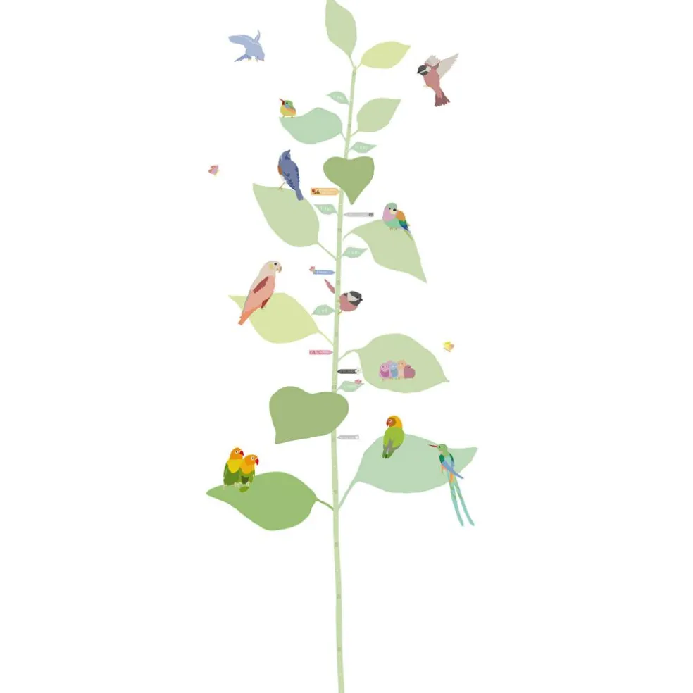 Toise With the birds