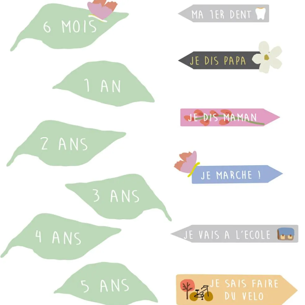 Toise With the birds