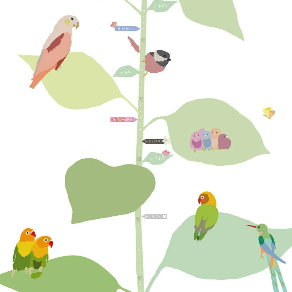 Toise With the birds