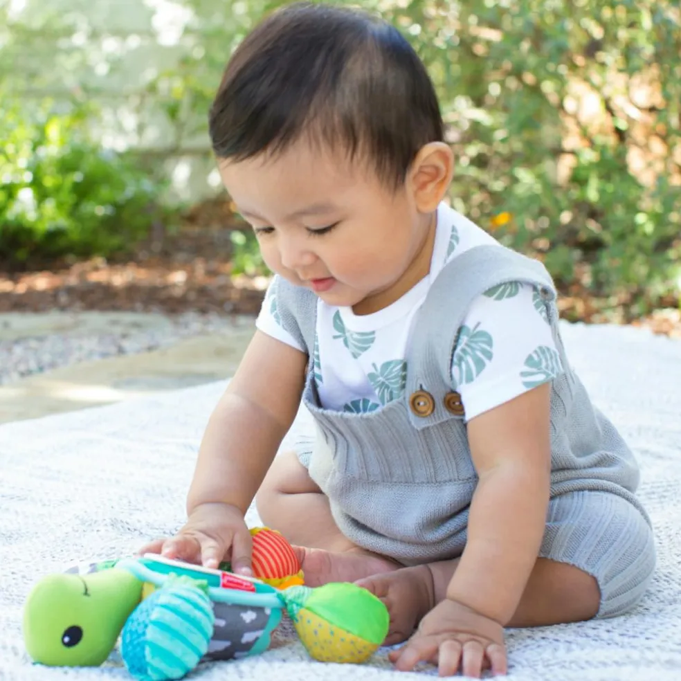 Tortue d'activités miroir