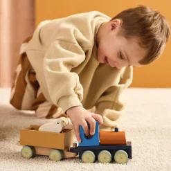 Train d'activités Animaux de la ferme Aiden