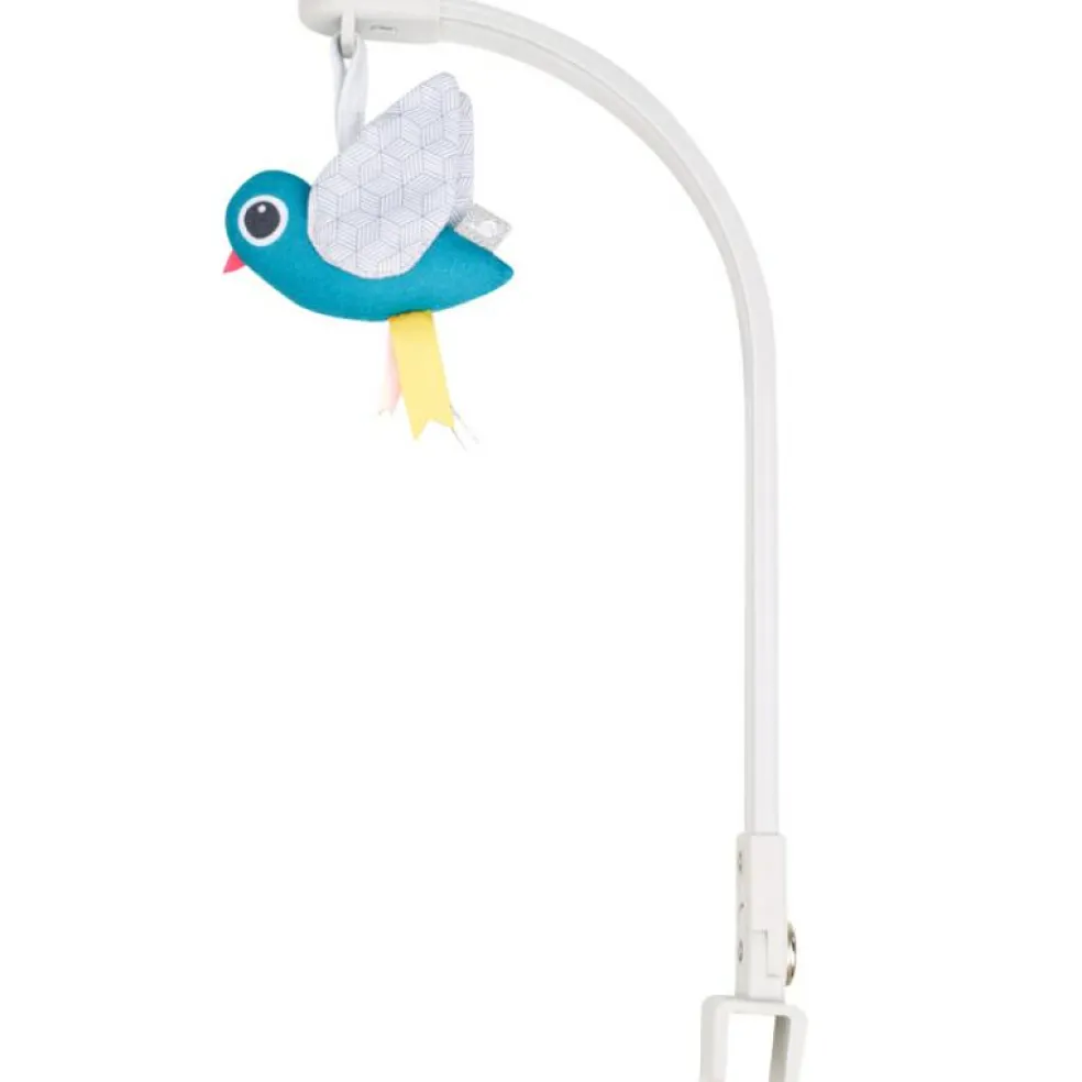 Transat Graphik Bleu