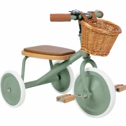 Tricycle évolutif Trike Forest
