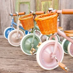 Tricycle évolutif Trike Forest