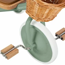 Tricycle évolutif Trike Forest