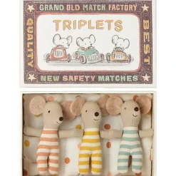 Triplés Bébés Souris dans leur boîte assortie