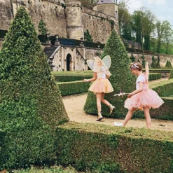 Tutu princesse doré Rosaline (4-6 ans)