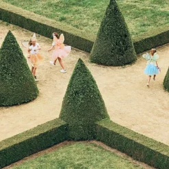 Tutu princesse doré Rosaline (4-6 ans)