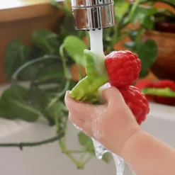 Valery la framboise en latex d'hévéa