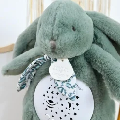 Veilleuse musicale projections d'étoiles vert sauge (24 cm)