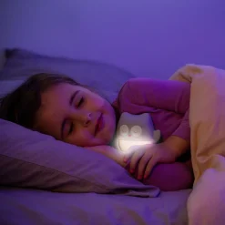 Veilleuse nomade chouette grise