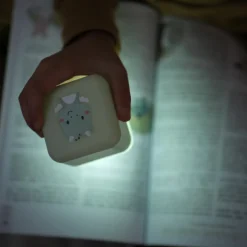 Veilleuse nomade Cube B Drake le Dragon