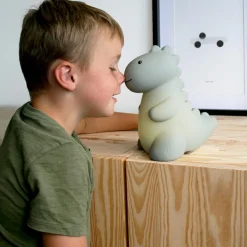 Veilleuse rechargeable Jéroom sauge (17 cm)